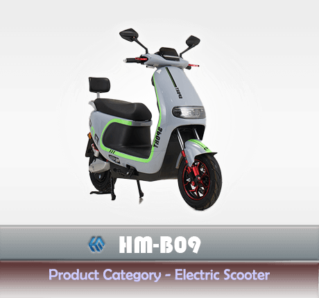 HM B09 Electric Scooter